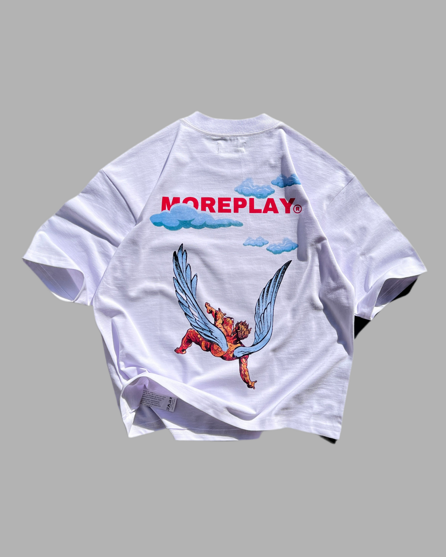 Remera boxy FIT (250 gr)